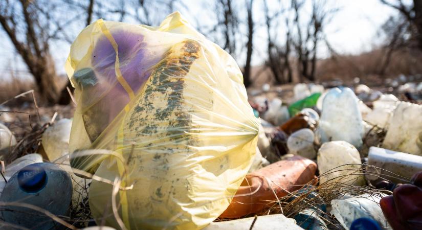 Kormányzati támogatással számoltak fel illegális hulladéklerakókat Esztergom-Kertvárosban