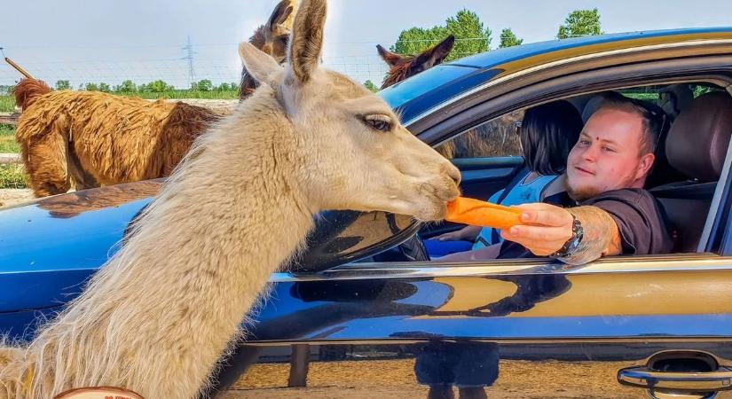150 ezres látogatószám közelében egy európai szinten is egyedi vidéki élménypark