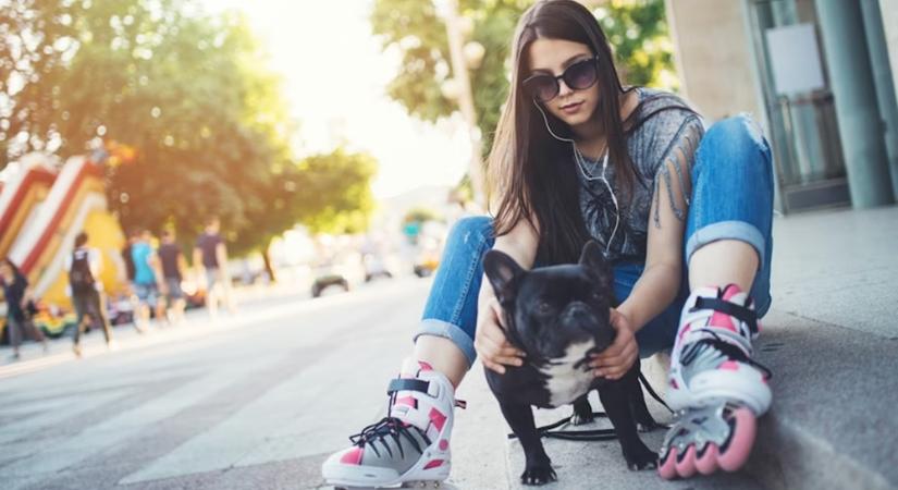 Egy kutya nemcsak a szívet, hanem a tinik idegeit is rendbe teheti