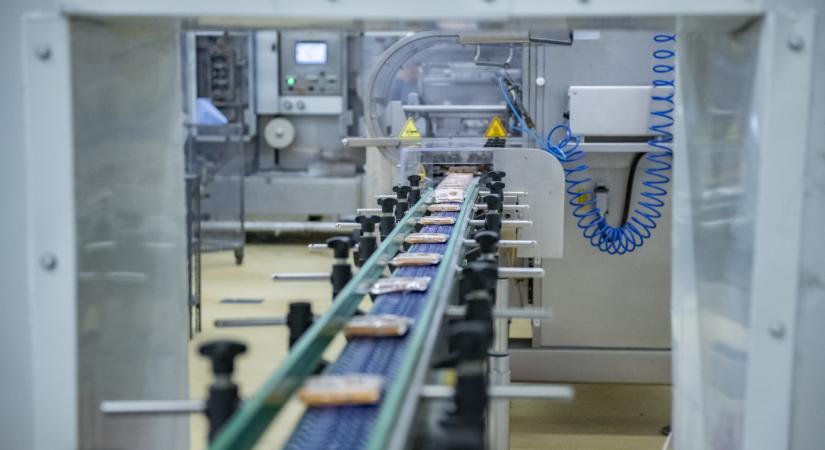 Amikor minden döntés számít: négy magyar cég, amely nyomás alatt is nagyot dobbantott