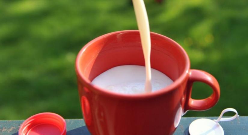 Súlyos válság előtt a szlovák tejipar