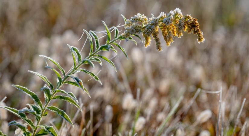 Brutális hidegbetörés: A tested is megérzi, -8 fok jön