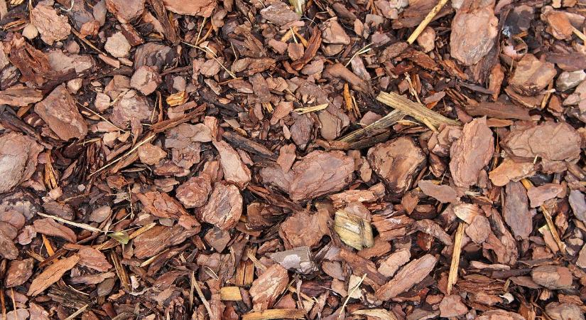 Marispusztán a vízvisszatartás volt fókuszban