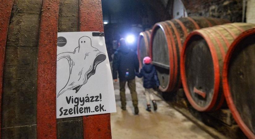 Lehet, hogy egy pályázat vezet el Aba Sámuel király sírjához Abasáron?