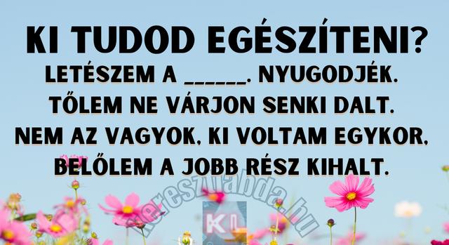 Napi irodalom feladat: “Letészem a…” – Te tudod, mit tett le a költő?