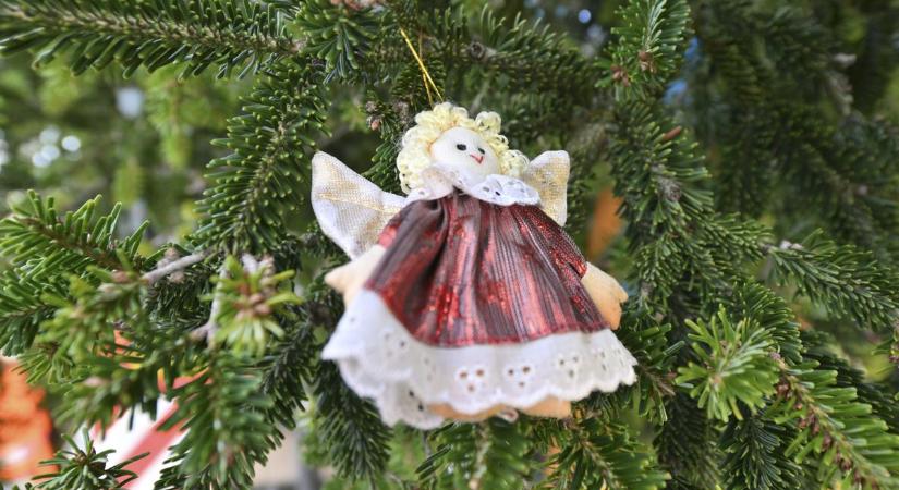 Veszélyben a karácsony: néhány év múlva luxussá válhat az ünnep legfontosabb szimbóluma