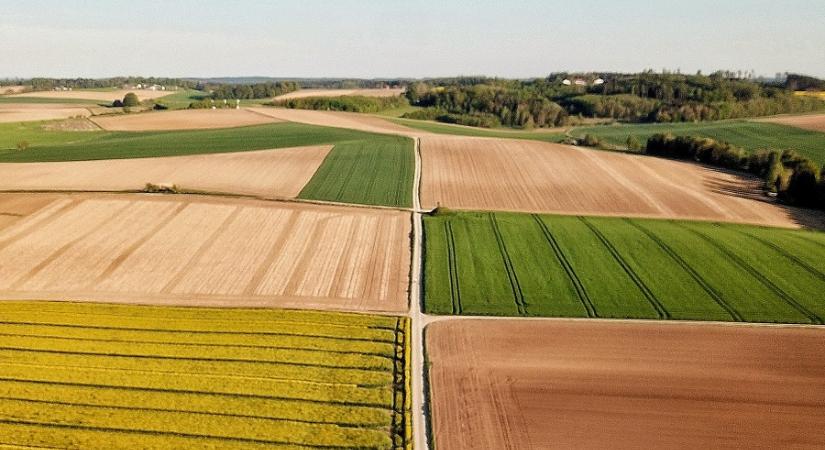 Cseke Attila: Ingyenes közszolgáltatás – Közel egymillió kibocsátott telekkönyvi kivonat