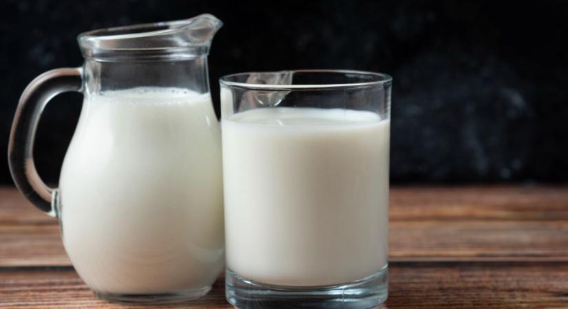 Egészségesebb tej, jobb genetika – új tenyésztési irány Bólyból