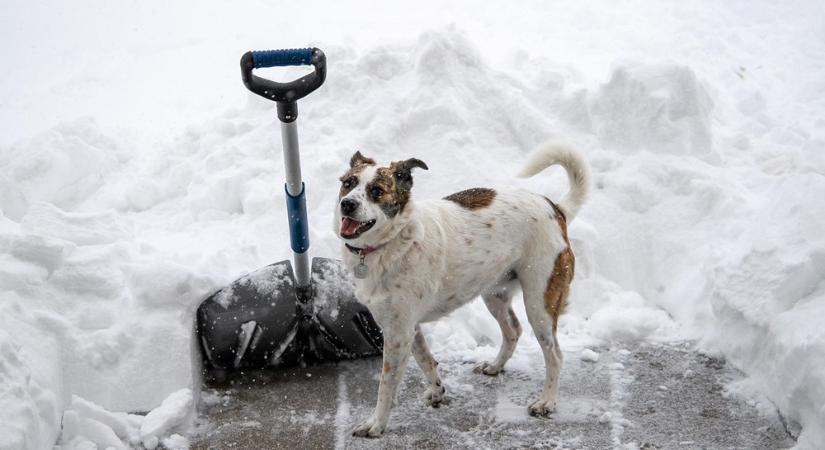 Hó lapátolása sürgősségi nélkül – avagy hogyan úszd meg a telet derékfájás és drámai jelenetek nélkül?