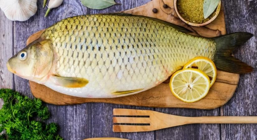 „Kapj rá!” – új lendülettel tér vissza a halfogyasztást népszerű kampány