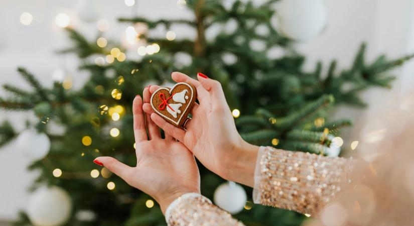 Karácsonyfában megbúvó 25 000 rovar titkai: mit kell tudni a fenyőfa potyautasairól?