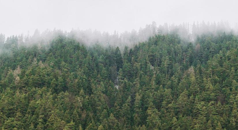 Vízhiány: összeomlik a rendszer?