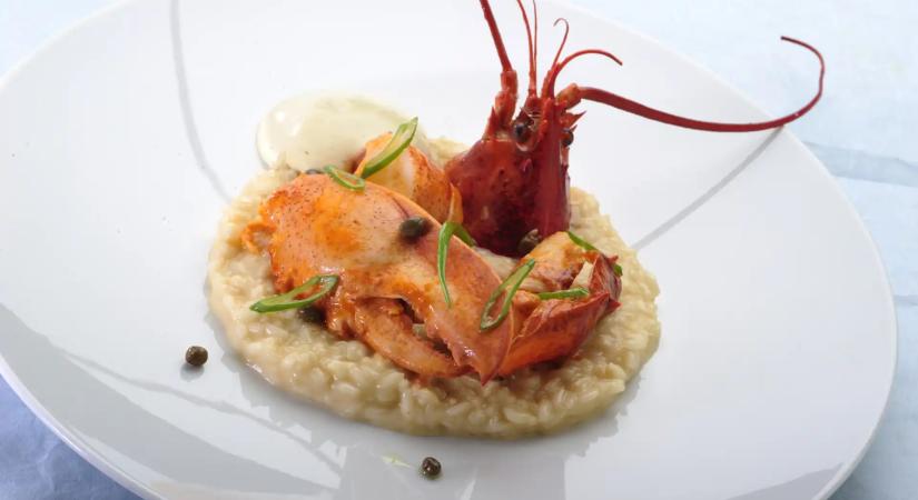 Nagy-Britanniában betiltják az élő homár és rák főzését az éttermekben