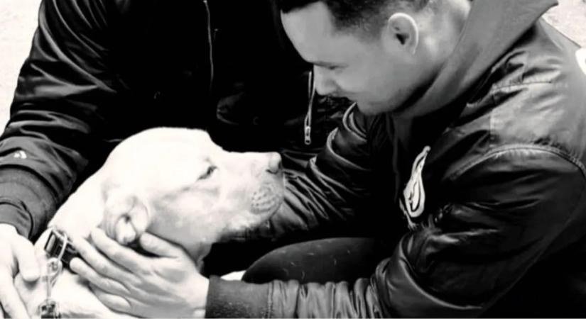 "Vérbe fagyva találtuk meg Liont" - megdöbbentő részleteket árult el az ercsi kutyamérgezésről a telep vezetője