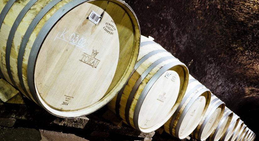 A fa alatt is jól mutat a magyar bor