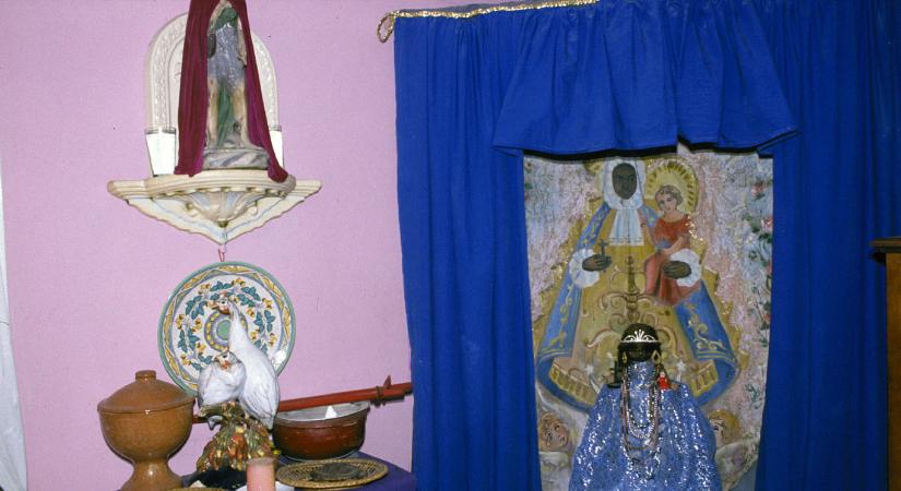 Kokainnal és állati áldozatokkal operáló szektát számoltak fel a Kanári-szigeteken