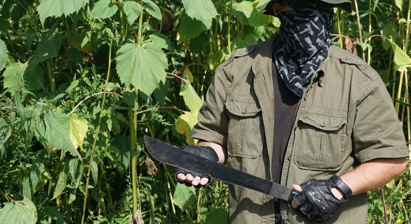 Macsétával jött az iPhone-ért a vásárló a II. kerületben – később már ő könyörgött