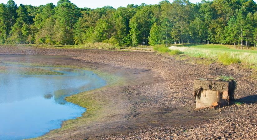 Beütött a vízválság: menteni kell, ami még menthető