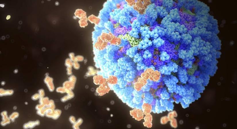 Megállíthatatlan a szuperinfluenza terjedése: már milliókat döntött le a lábáról