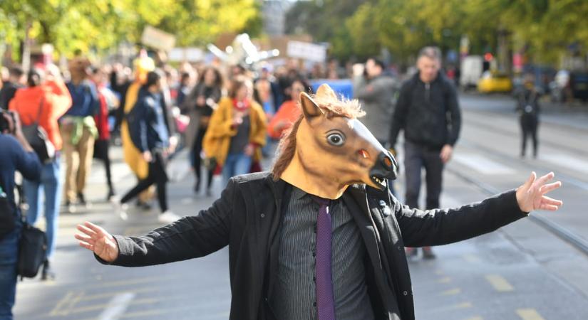 Most bárki megírhatja a Kutyapárt a választási kampánydalát, félmilliót is kap a nyertes szerző