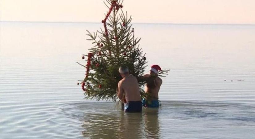 Karácsonyfa a Balatonban – folytatódik a népszerű hagyomány Szigligeten