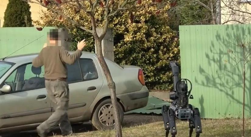 Fordulat a nyírlugosi orvvadászok ügyében, akik autós üldözés közben próbálták agyonlőni a mezőőröket