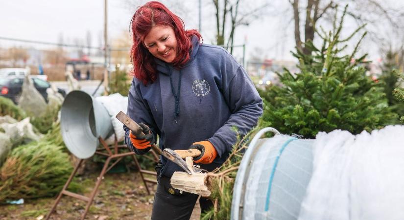 Megrohamozták az árusokat Győrben, a rászorulók is kapnak karácsonyfát