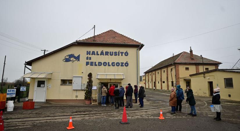 Halra vártunk, majd sorbanállás közben kisiklott a kisvonat halgazdaságnál – galériával, videóval