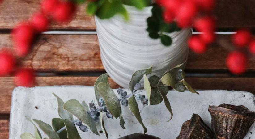 Nem mindegy, mit vágsz le: ezek a zöldek bírják legtovább a karácsonyi dekorációban