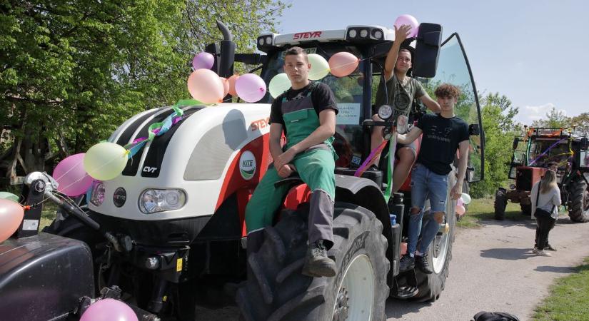 Mozgalmasan telt az április is: látványos fotók a megyéből (galéria)