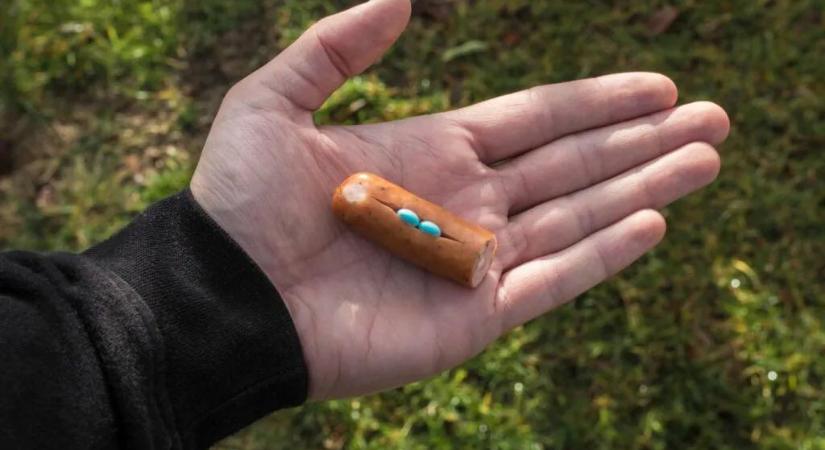 Több állatot megmérgeztek Fülöpön