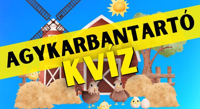 Napi agykarbantartó: Fejleszd az elméd! – Teszteld a memóriád ezzel a tanyasi képpel!