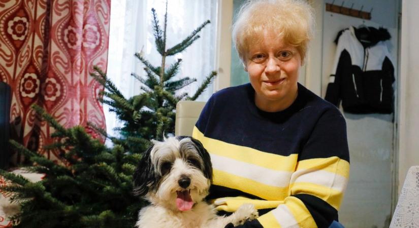 Méltatlan körülmények között: egy zalai mozgássérült nő már csak a karácsonyi csodában hisz (galéria)