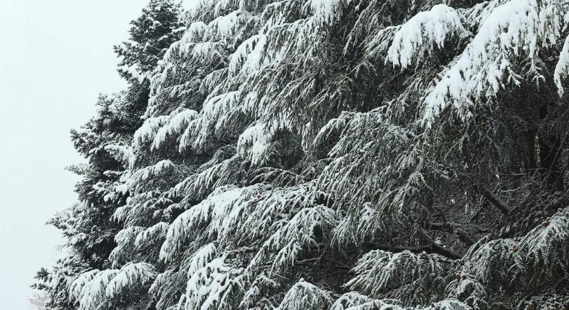 Hol lesz fehér a karácsony? Ide mehetsz, ha havat szeretnél látni