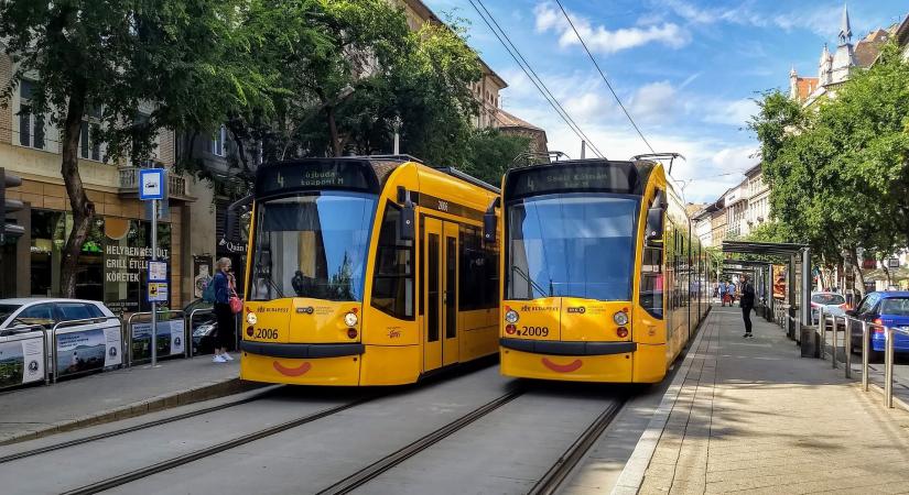 Döglött hallal a kezében utazott valaki a budapesti villamoson