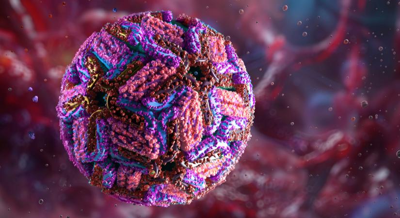 Szuperfertőző adenovírus söpör végig a Földön: a tudósok aggódnak, jelenleg kezelés sincs rá