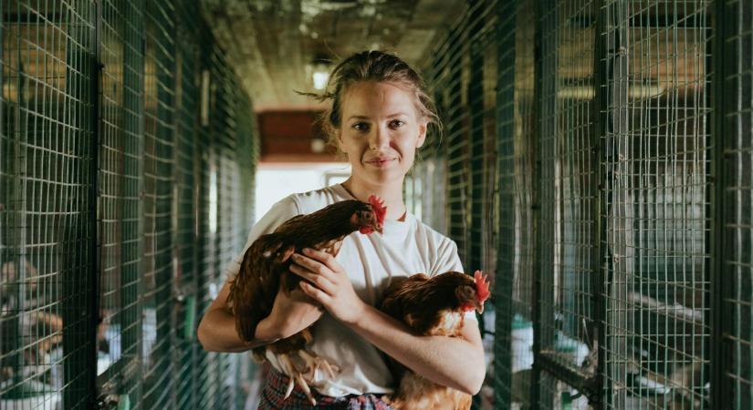 Pénzhiány lassítja a fiatal gazdák belépését az EU-ban