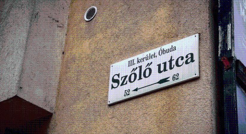 „Ott a gyerekek már maguktól is börtönhierarchiában élnek” – ilyen belülről a Szőlő utca