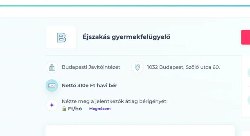 Nettó 310 ezer forintért keresnek éjszakás felügyelőt a Szőlő utcába