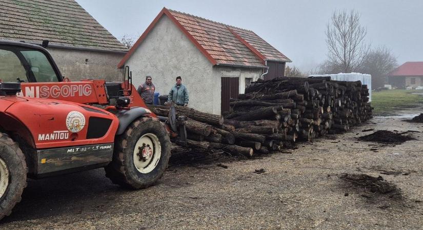 Az acsalagi önkormányzat harminc köbméter fát osztott ki a faluban