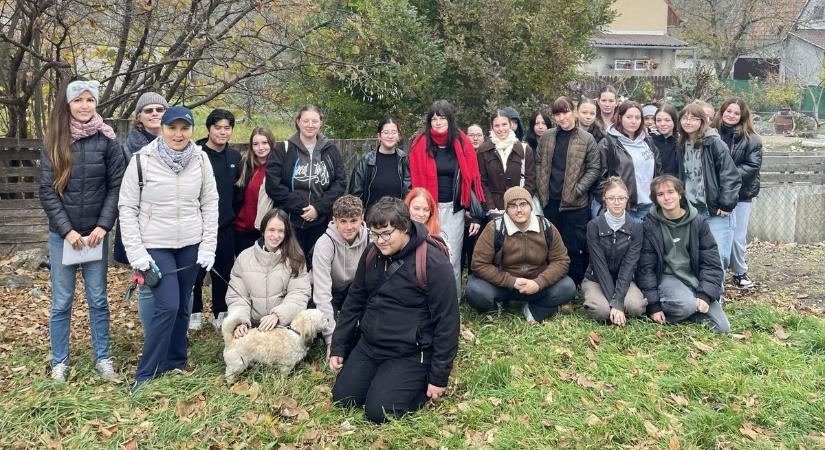 A győri Baross-iskola diákjai az állatmenhelyre látogattak - fotók