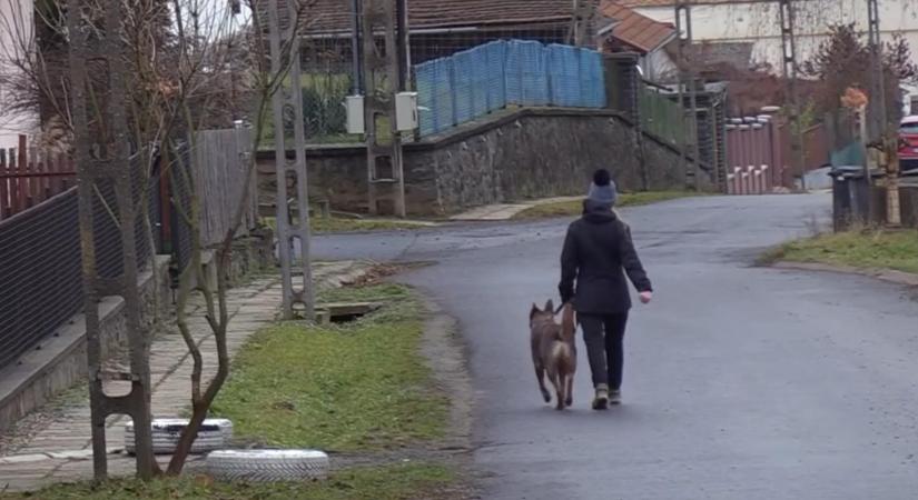 Akadozik a szolgáltatás, lehet, hogy Somoskőújfalunak csapból folyó ivóvíz nélkül kell átvészelnie ezt a karácsonyt