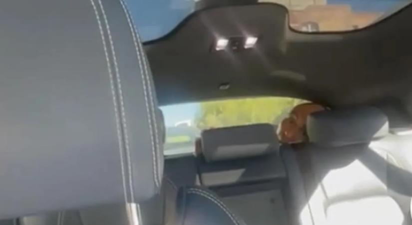 Taxit rendelt egy nő, halálra rémült, amikor benézett a csomagtartóba