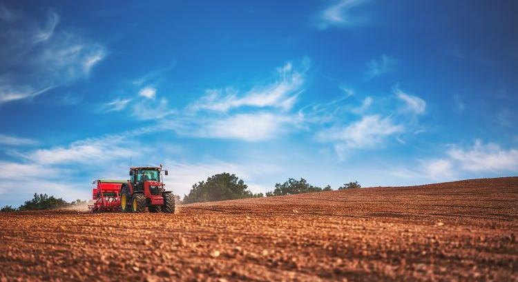 A mikroelemek rejtett hatalma a növényekben