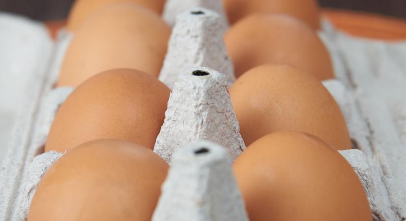 Vörös folt a tojásban: meg lehet enni vagy veszélyes?