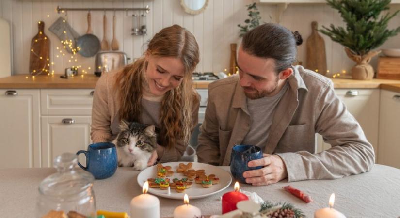 Kaphat a macska a mézeskalácsból?