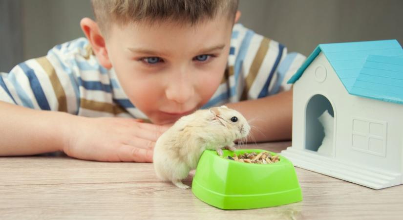 Három hónap boldogság, egy életre szóló emlék