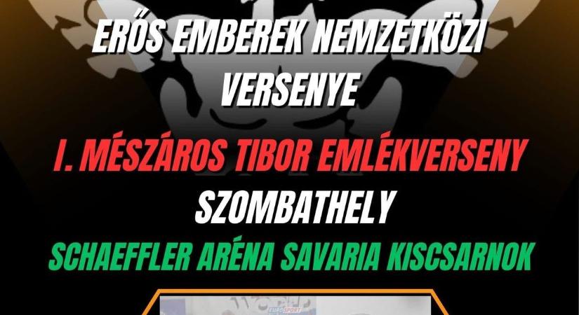 Mészáros Tibor emlékére