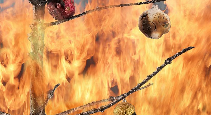 Figyelmeztet a villanyszerelő: erre ügyeljen, ha elkerülné, hogy lángokba boruljon a karácsonyfa