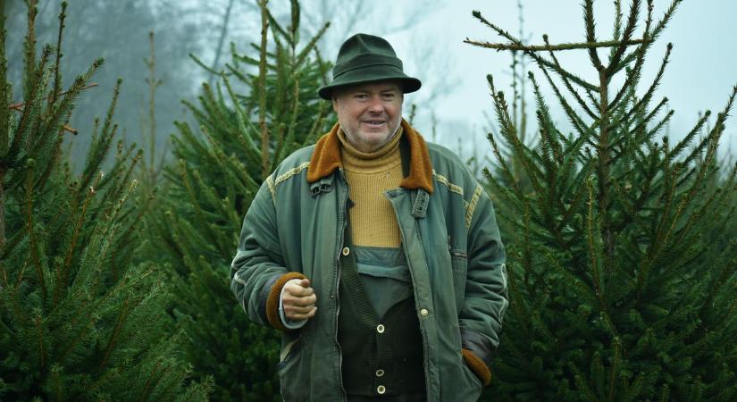 Mindannyian ezt keressük – elárulta a tökéletes karácsonyfa titkát a zalai őstermelő (galéria)